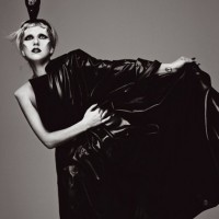 ladygaga ladygaga
