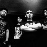 coffins_web coffins_web