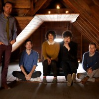 theshins theshins