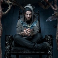 bammargera