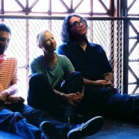 yolatengo