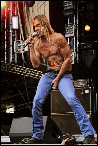 Iggy Pop