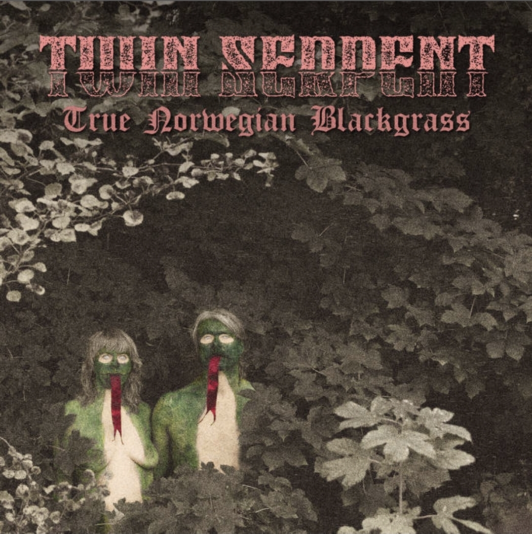 Twin Serpent : True Norwegian Blackgrass – “Melo kovempaa, misantrooppi!”